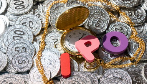 山東聊城 跑出一家寵物食品IPO，揭秘行業新勢力的崛起之路