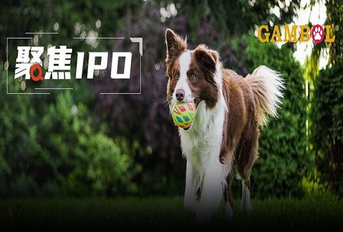 乖寶寵物境外重大訴訟懸而未決，利潤空間受境內外雙重擠壓，寵物食品銷售困局待解