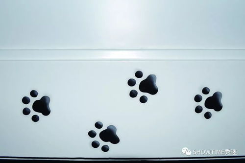 從寵物店購(gòu)買(mǎi)寵物狗 明智選擇還是潛在陷阱？